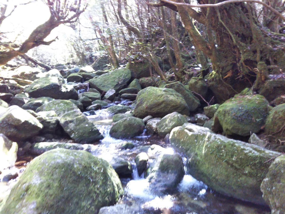 Cottage Yakusugi House Yakushima  Esterno foto