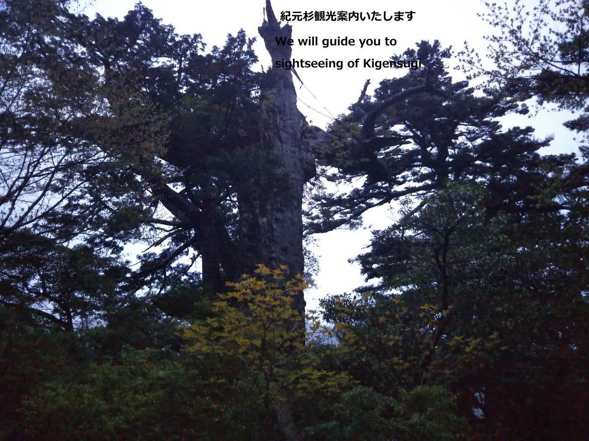 Cottage Yakusugi House Yakushima  Esterno foto