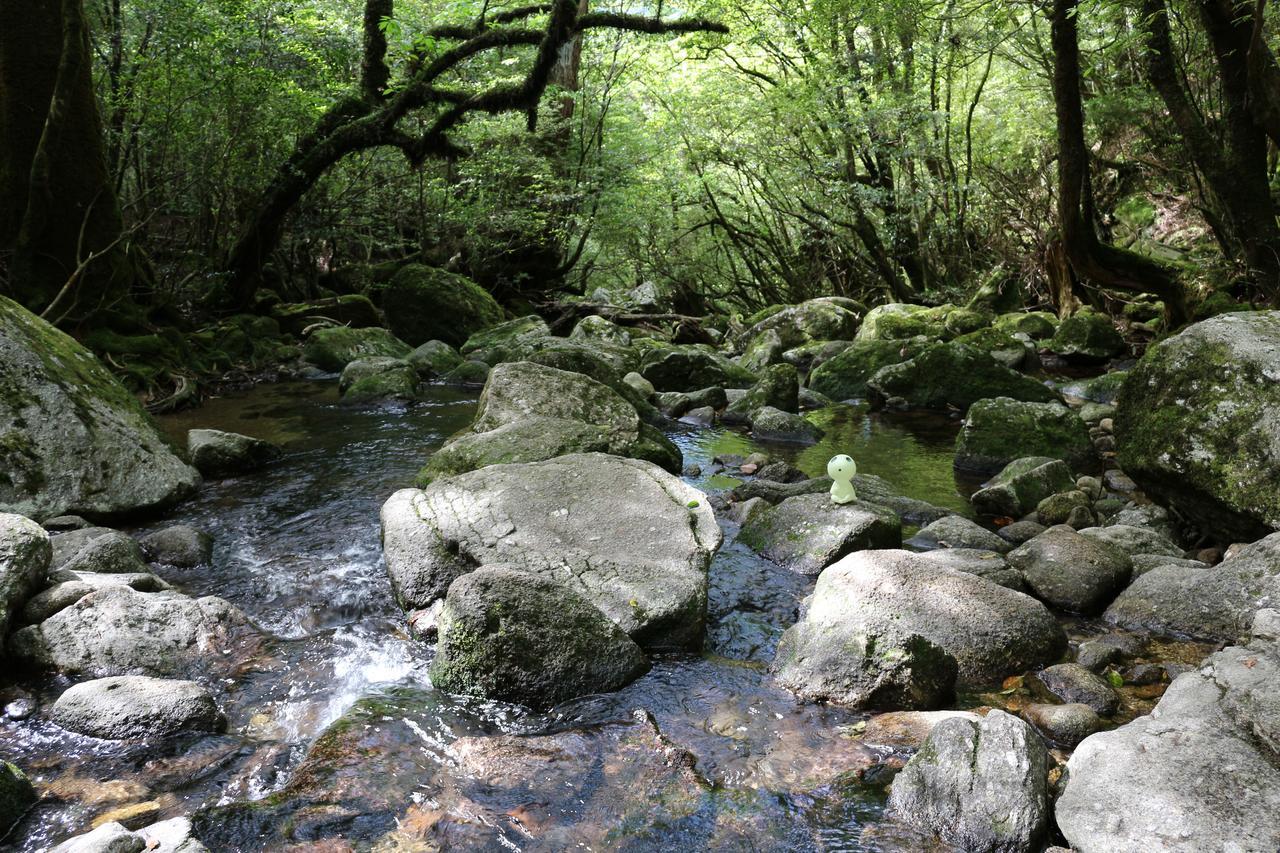 Cottage Yakusugi House Yakushima  Esterno foto
