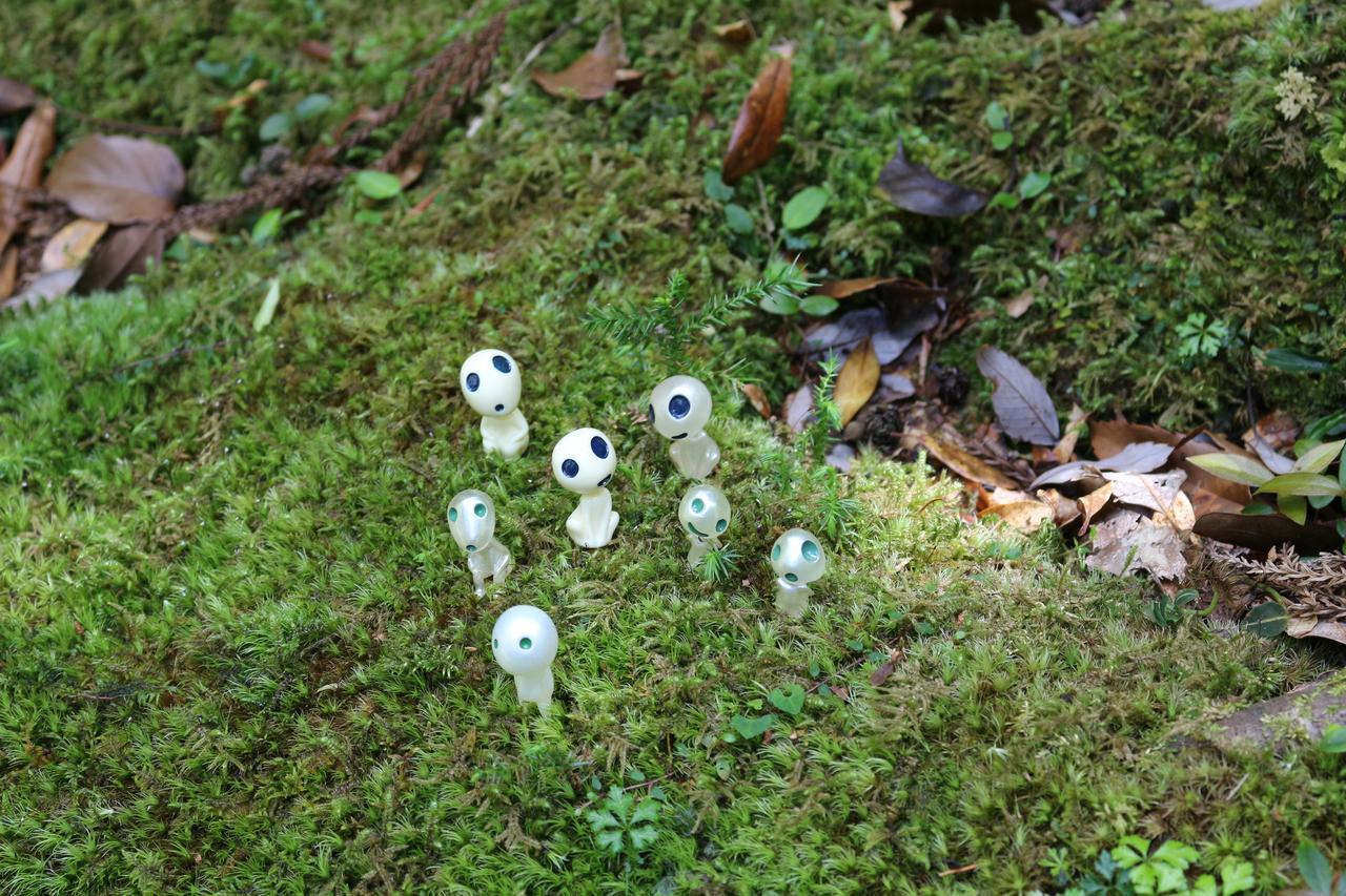 Cottage Yakusugi House Yakushima  Esterno foto