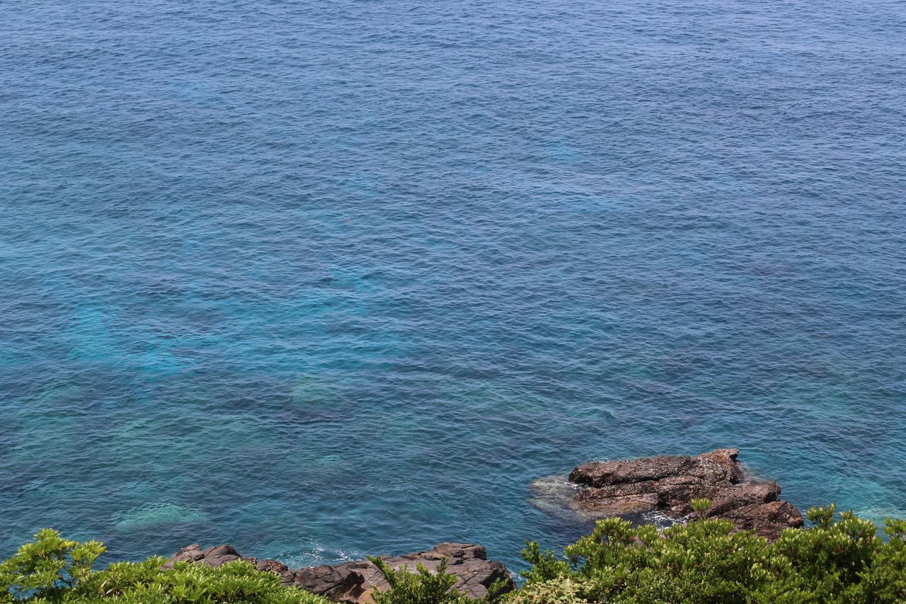 Cottage Yakusugi House Yakushima  Esterno foto