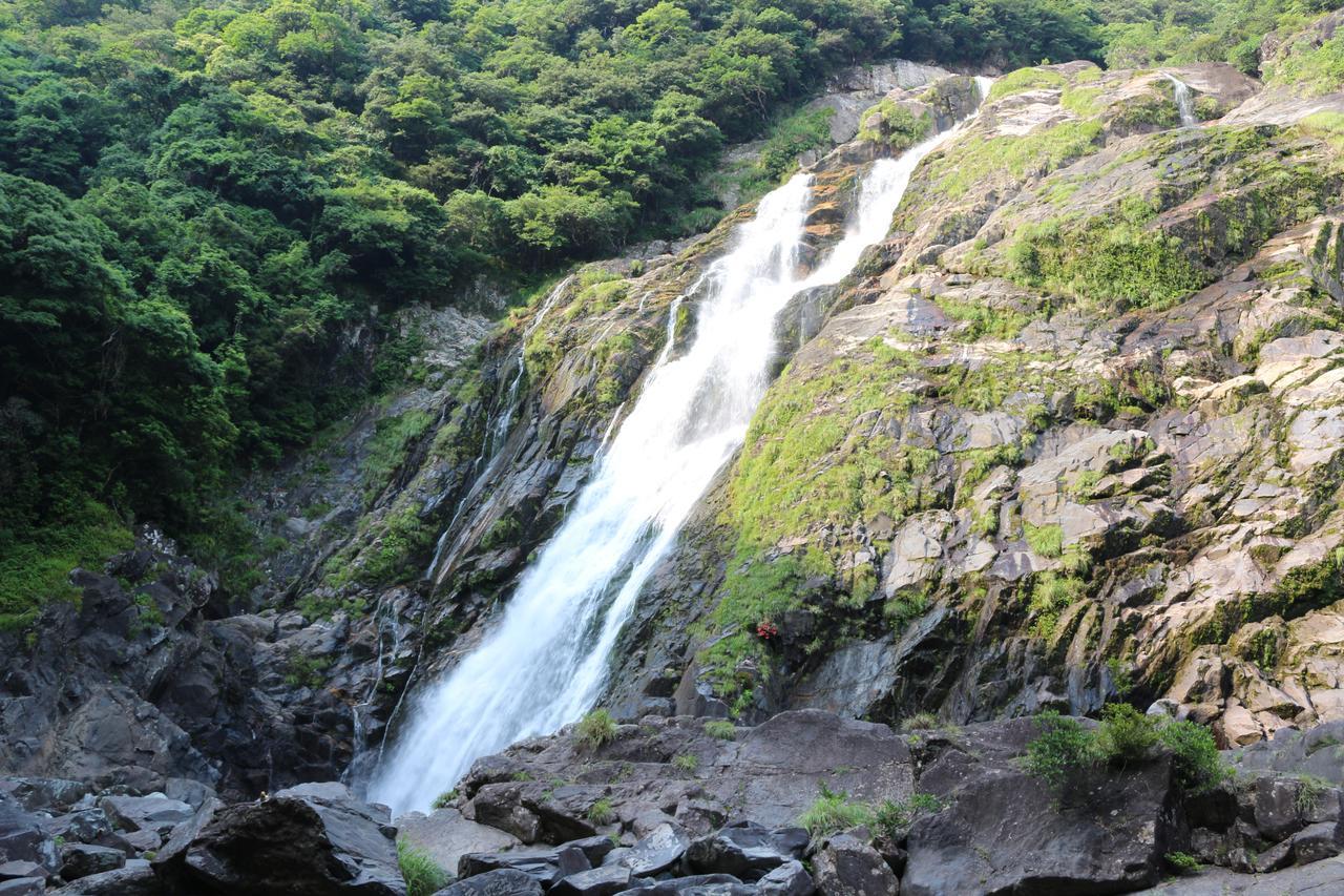 Cottage Yakusugi House Yakushima  Esterno foto