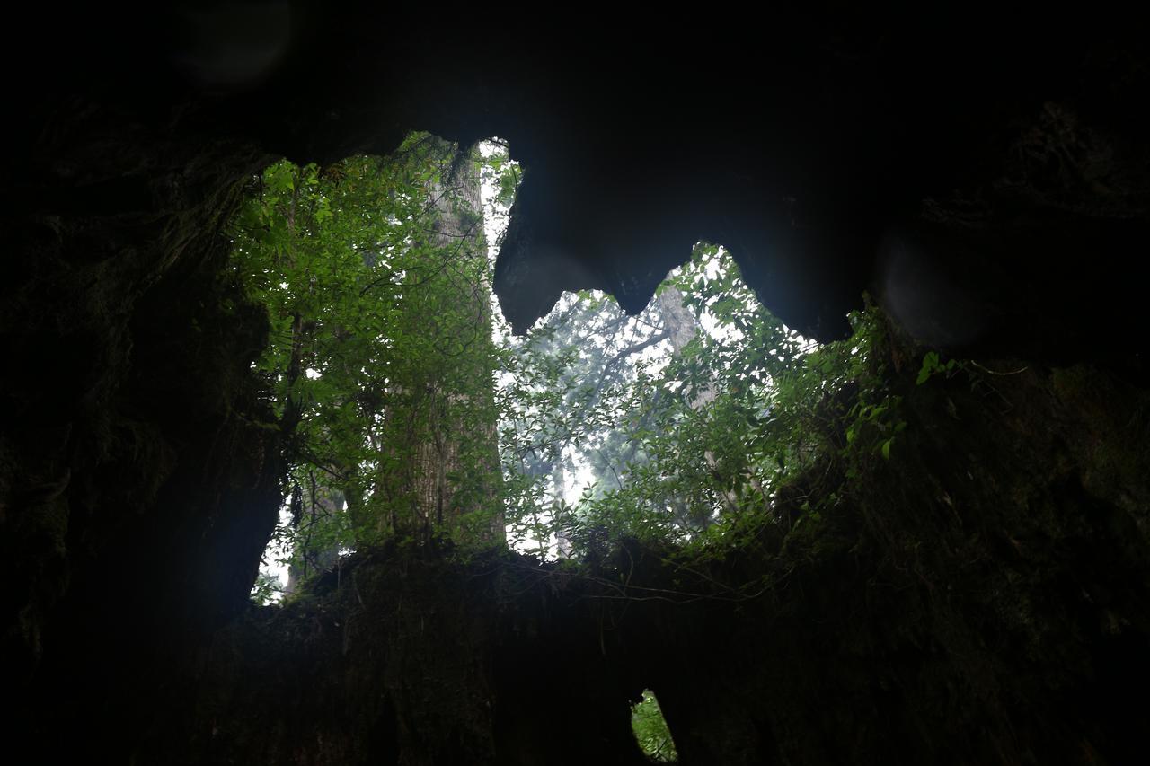 Cottage Yakusugi House Yakushima  Esterno foto