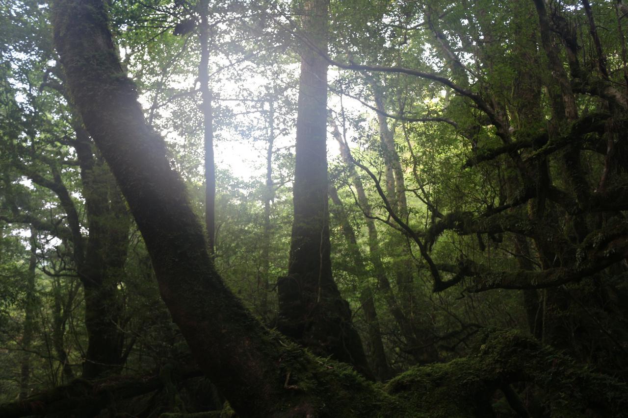 Cottage Yakusugi House Yakushima  Esterno foto